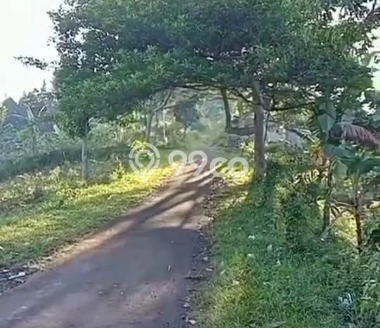 Lahan Investasi Lokasi Nagrak Sukabumi SHM Lahan Investasi Lokasi Nagrak Sukabumi SHM