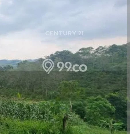 Tanah Dijual Lokasi Pagelaran, Cianjur Luas 50000m2 Legalitas Aman Tanah Dijual Lokasi Pagelaran, Cianjur Luas 50000m2 Legalitas Aman