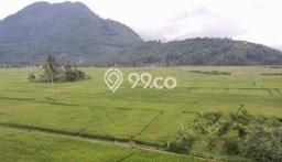Tanah Kavling untuk Dijual di Leles Garut 7800m2 Tanah Kavling untuk Dijual di Leles Garut 7800m2