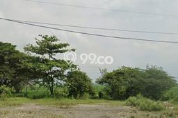 Jarang Ada! Tanah di Cikampek Punya Luas 3000m2 SHM Jarang Ada! Tanah di Cikampek Punya Luas 3000m2 SHM