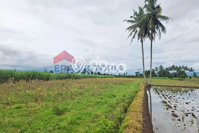 Lahan Kosong Dijual di Tumpang, Malang, Luas 2070m2 Area Strategis Lahan Kosong Dijual di Tumpang, Malang, Luas 2070m2 Area Strategis