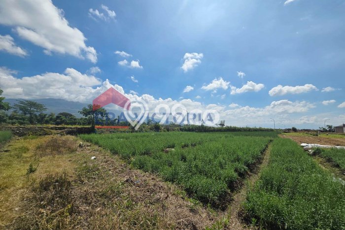 Lahan Investasi Lokasi Batu Batu SHM Lahan Investasi Lokasi Batu Batu SHM