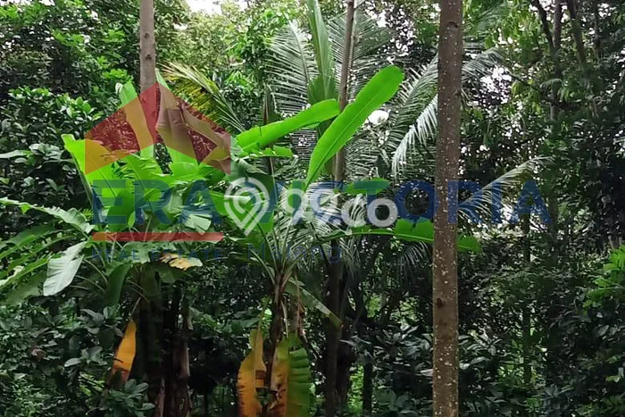 Kavling Tanah Dijual di Wonosalam Jombang Spesifikasi 10130m2 Kavling Tanah Dijual di Wonosalam Jombang Spesifikasi 10130m2