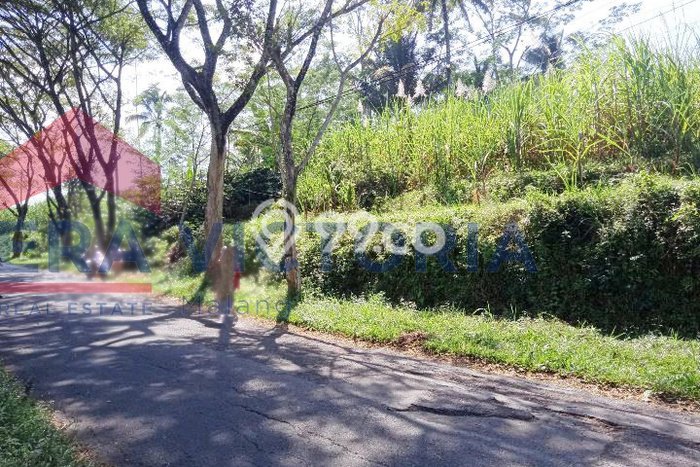 Kavling Tanah Dijual di Wonosari Malang Spesifikasi 6373m2 Kavling Tanah Dijual di Wonosari Malang Spesifikasi 6373m2