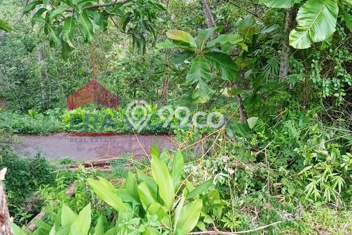 Tanah Dijual Lokasi Nganjuk, Nganjuk Luas 1061m2 Legalitas Aman Tanah Dijual Lokasi Nganjuk, Nganjuk Luas 1061m2 Legalitas Aman