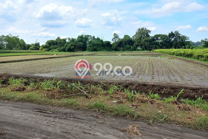 For Rent Tanah Strategis Kawasan Gurah, Luas 7696m2m², Dekat ke Gurah, Kediri, Kediri For Rent Tanah Strategis Kawasan Gurah, Luas 7696m2m², Dekat ke Gurah, Kediri, Kediri