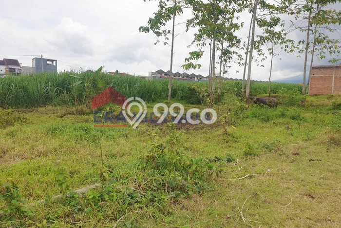 Kavling Tanah Dijual di Wagir Malang Spesifikasi 246m2 Kavling Tanah Dijual di Wagir Malang Spesifikasi 246m2