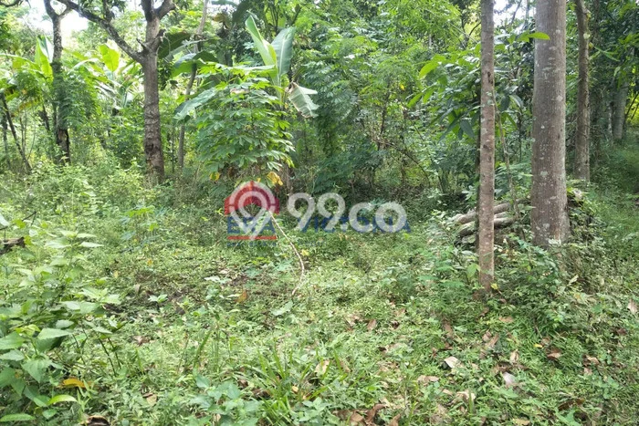 Tanah Kawasan Mojo, Luas 2814m2m², Sertifikat Hak Milik, Akses Mojo, Kediri, Kediri Tanah Kawasan Mojo, Luas 2814m2m², Sertifikat Hak Milik, Akses Mojo, Kediri, Kediri