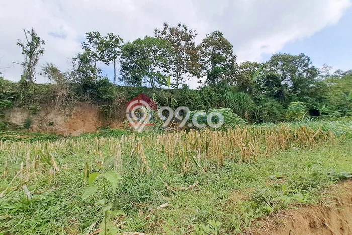 Jual Tanah di Tajinan, Luas 143m2m², Area Potensial Jual Tanah di Tajinan, Luas 143m2m², Area Potensial