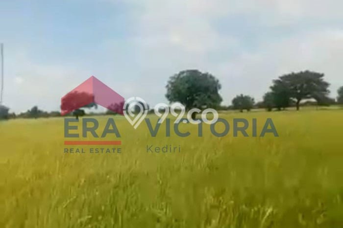 LOKASI STRATEGIS! Tanah di Sarirejo, Luas 6878m2m², Lokasi Potensial, Cocok untuk Investasi LOKASI STRATEGIS! Tanah di Sarirejo, Luas 6878m2m², Lokasi Potensial, Cocok untuk Investasi