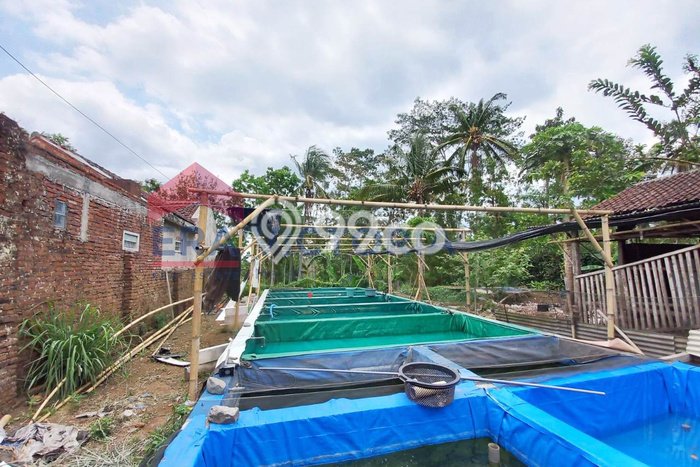 Lahan untuk Dijual di Wonosari Malang Luas 899m2 Lahan untuk Dijual di Wonosari Malang Luas 899m2