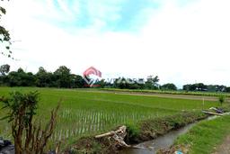 HARGA MENARIK! Tanah di Gurah, Luas 7696m2m², Area Nyaman HARGA MENARIK! Tanah di Gurah, Luas 7696m2m², Area Nyaman