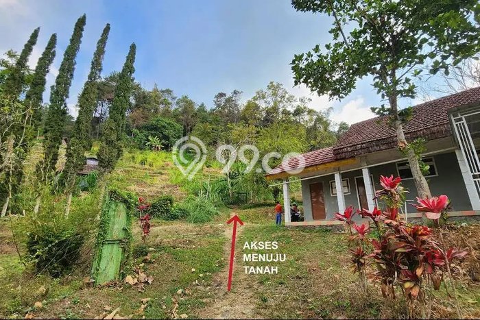 Kavling Tanah Dijual di Pacet Mojokerto Spesifikasi 4301m2 Kavling Tanah Dijual di Pacet Mojokerto Spesifikasi 4301m2