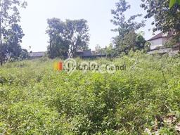 Tanah Dijual Lokasi Tembalang, Semarang Luas 1216m2 Legalitas Aman Tanah Dijual Lokasi Tembalang, Semarang Luas 1216m2 Legalitas Aman