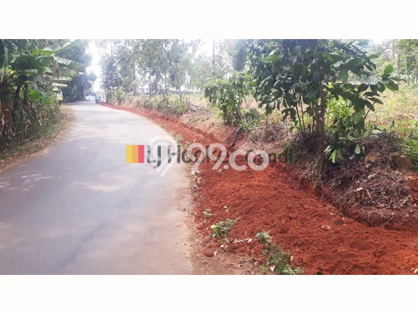 Tanah Dijual Lokasi Kandeman, Batang dengan Luas Tanah 31640m2 dan Status SHM Tanah Dijual Lokasi Kandeman, Batang dengan Luas Tanah 31640m2 dan Status SHM