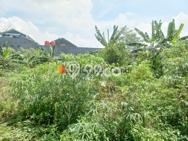 Tanah Kavling untuk Dijual di Banyumanik Semarang 469m2 Tanah Kavling untuk Dijual di Banyumanik Semarang 469m2