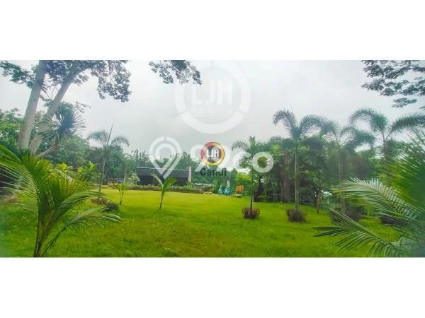 Tanah di Gunung Pati, Semarang Luas 31859m2 Dijual Segera Tanah di Gunung Pati, Semarang Luas 31859m2 Dijual Segera