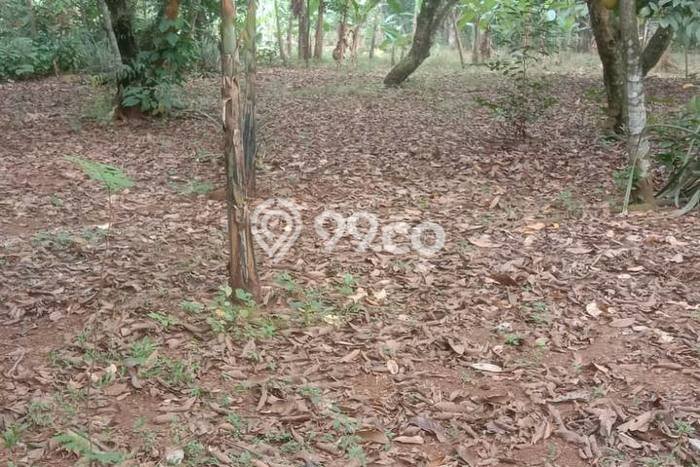 Kavling Tanah di Bogor Barat Dijual Luas 11354m2 Legalitas AJB Kavling Tanah di Bogor Barat Dijual Luas 11354m2 Legalitas AJB