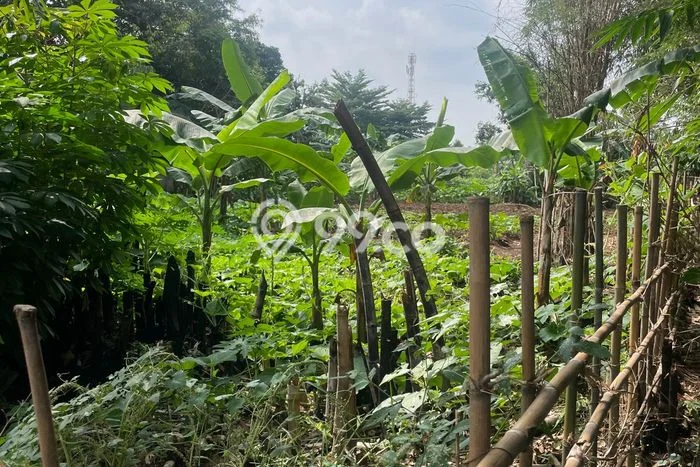 Untuk Dijual Tanah di Ciputat Timur Tangerang Selatan Luas 4612m2 SHM Untuk Dijual Tanah di Ciputat Timur Tangerang Selatan Luas 4612m2 SHM