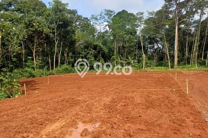Tanah Dijual Lokasi Gunung Pati, Semarang Luas 120m2 Legalitas Aman Tanah Dijual Lokasi Gunung Pati, Semarang Luas 120m2 Legalitas Aman