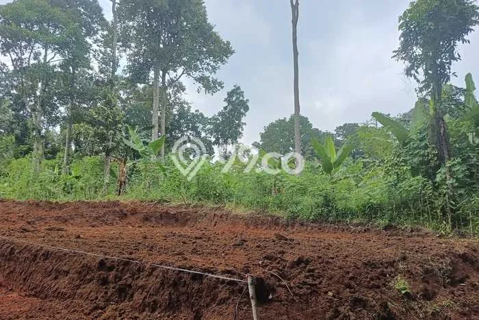 Untuk Dijual Tanah di Gunung Pati Semarang Luas 120m2 SHM Untuk Dijual Tanah di Gunung Pati Semarang Luas 120m2 SHM