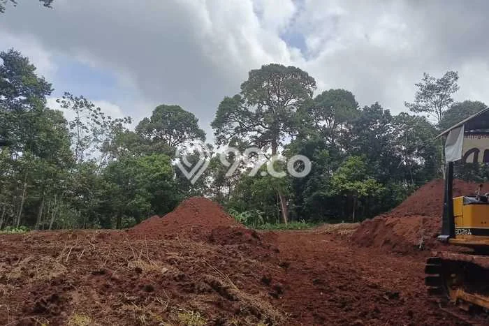 Untuk Dijual Tanah di Gunung Pati Semarang Luas 120m2 SHM Untuk Dijual Tanah di Gunung Pati Semarang Luas 120m2 SHM