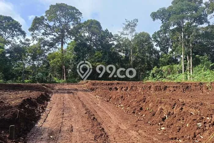 Kavling Tanah Dijual di Gunung Pati, Semarang, Luas 120m2 Area Strategis Kavling Tanah Dijual di Gunung Pati, Semarang, Luas 120m2 Area Strategis