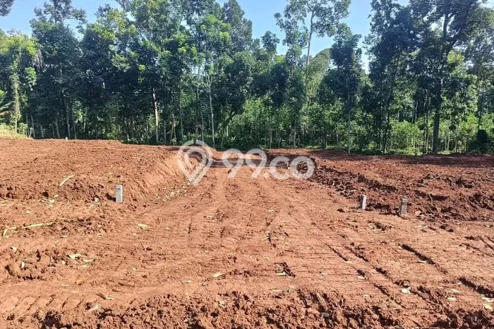 Lahan Kosong Dijual di Semarang dengan Area 120m2 Lahan Kosong Dijual di Semarang dengan Area 120m2