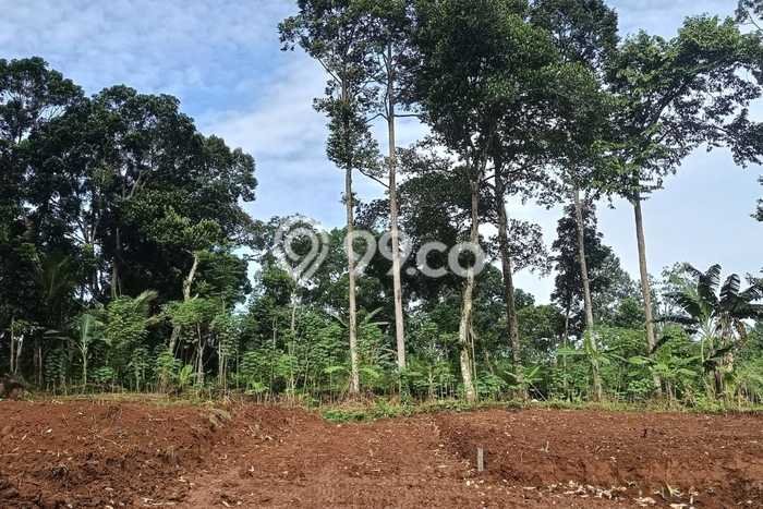 Tanah di Gunung Pati, Semarang Luas 120m2 Dijual Segera Tanah di Gunung Pati, Semarang Luas 120m2 Dijual Segera