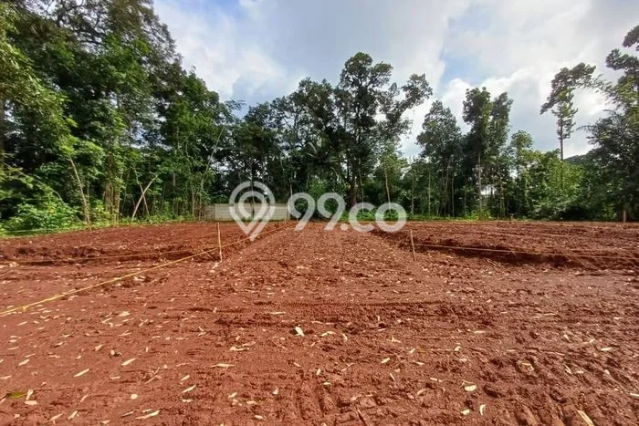 Tanah Dijual Lokasi Gunung Pati, Semarang Luas 120m2 Legalitas Aman Tanah Dijual Lokasi Gunung Pati, Semarang Luas 120m2 Legalitas Aman