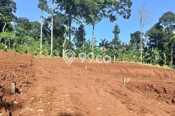 Lahan Kosong Dijual di Semarang dengan Area 120m2 Lahan Kosong Dijual di Semarang dengan Area 120m2