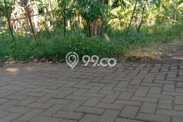 Tanah Kavling untuk Dijual di Gunung Pati Semarang 120m2 Tanah Kavling untuk Dijual di Gunung Pati Semarang 120m2
