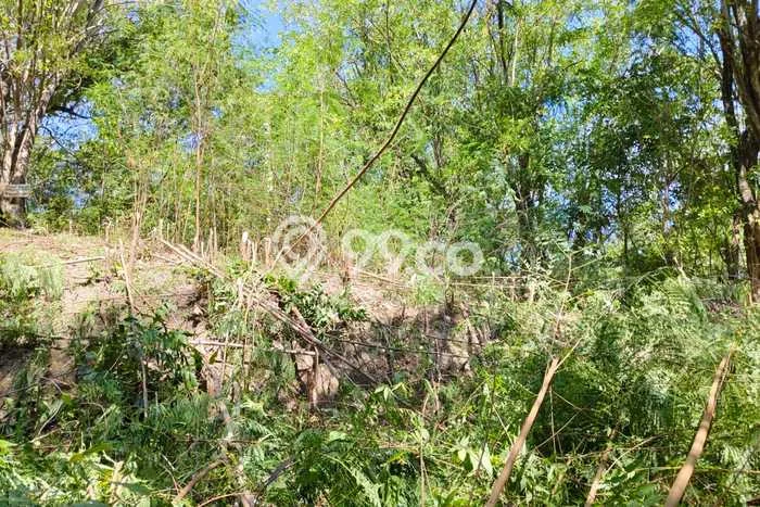 Tanah Kavling Dijual di Manggarai Barat dengan Spesifikasi 600m2 Tanah Kavling Dijual di Manggarai Barat dengan Spesifikasi 600m2