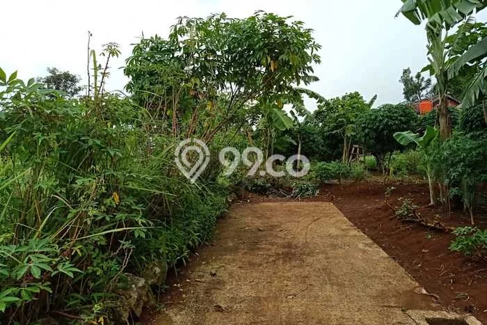 Untuk Dijual Tanah di Bogor, Luas 2500m2 SHM Untuk Dijual Tanah di Bogor, Luas 2500m2 SHM