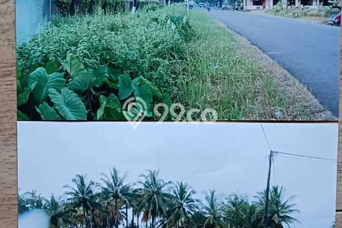 Tanah Strategis Dijual di Panimbang Pandeglang 15000m2 Tanah Strategis Dijual di Panimbang Pandeglang 15000m2