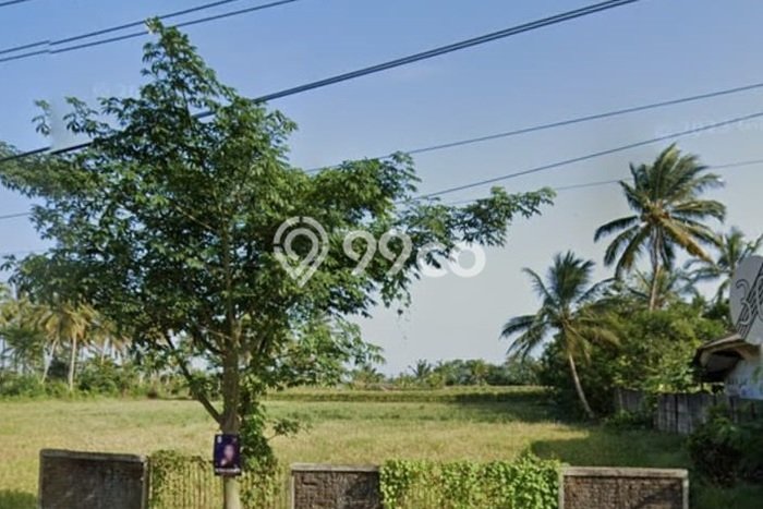 Tanah Strategis Dijual di Panimbang Pandeglang 15000m2 Tanah Strategis Dijual di Panimbang Pandeglang 15000m2