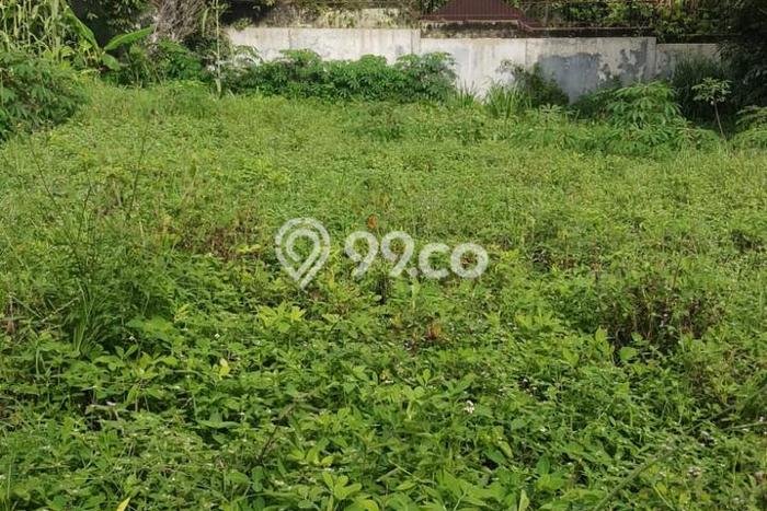 Tanah Kavling Dijual di Gadog, Bogor dengan Luas Tanah 2500m2 Tanah Kavling Dijual di Gadog, Bogor dengan Luas Tanah 2500m2