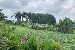 Tanah Kavling Dijual di Jakarta Timur dengan Spesifikasi 160000m2 Tanah Kavling Dijual di Jakarta Timur dengan Spesifikasi 160000m2