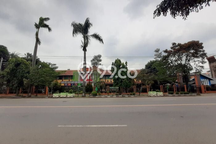 Jarang Ada! Tanah di Slawi Punya Luas 1800m2 SHM Jarang Ada! Tanah di Slawi Punya Luas 1800m2 SHM