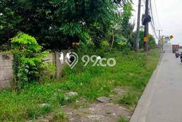 Untuk Dijual Tanah di Balaraja Tangerang Luas 170000m2 - Untuk Dijual Tanah di Balaraja Tangerang Luas 170000m2 -