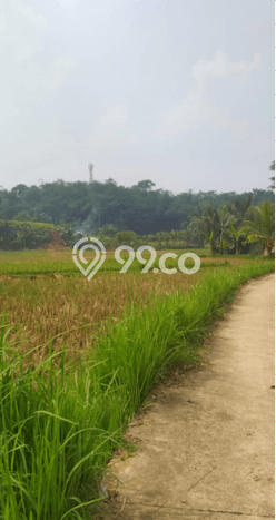 Tanah Kawasan Tigaraksa, Luas 200000m², Area Premium, Prospek Menjanjikan Tanah Kawasan Tigaraksa, Luas 200000m², Area Premium, Prospek Menjanjikan