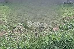 Untuk Dijual Tanah di Tangerang, Luas 684m2 - Untuk Dijual Tanah di Tangerang, Luas 684m2 -
