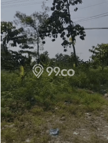 Tanah di Jawilan, Serang Luas 3.7e+06m2 Dijual Segera Tanah di Jawilan, Serang Luas 3.7e+06m2 Dijual Segera