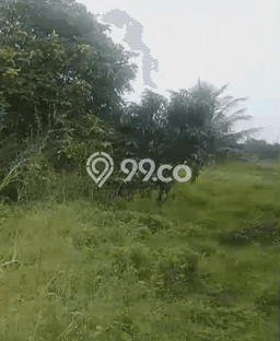Kavling Tanah Dijual di Tigaraksa Tangerang Spesifikasi 160000m2 Kavling Tanah Dijual di Tigaraksa Tangerang Spesifikasi 160000m2