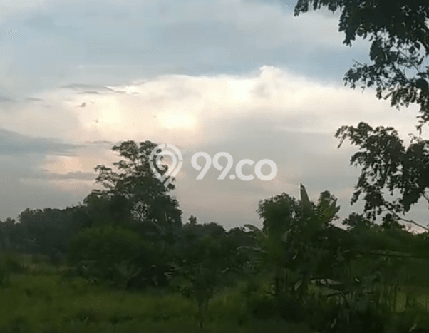 Tanah Kosong Dijual di Tangerang dengan Area 73000m2 Tanah Kosong Dijual di Tangerang dengan Area 73000m2