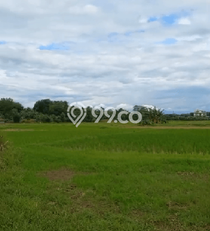 Lahan Dijual Lokasi Solear, Tangerang dengan Luas Tanah 920000m2 dan Status - Lahan Dijual Lokasi Solear, Tangerang dengan Luas Tanah 920000m2 dan Status -