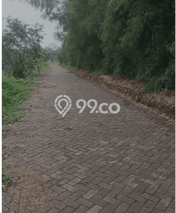 Tanah untuk Dijual Lokasi Cisauk, Tangerang Luas 14000m2 SHM Tanah untuk Dijual Lokasi Cisauk, Tangerang Luas 14000m2 SHM