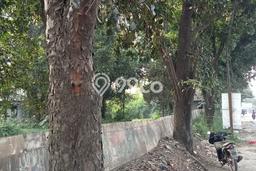 Tanah Kavling di Gunung Sindur Dijual dengan Luas 32000m2 Tanah Kavling di Gunung Sindur Dijual dengan Luas 32000m2