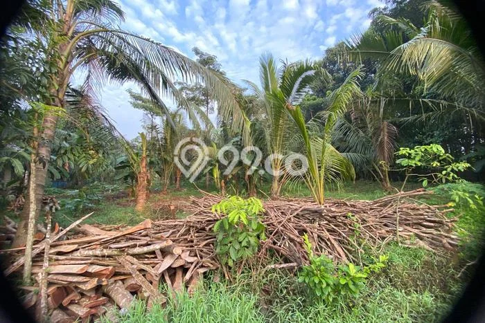 Lahan Kosong Dijual di Serang, Serang, Luas 2862m2 Area Strategis Lahan Kosong Dijual di Serang, Serang, Luas 2862m2 Area Strategis