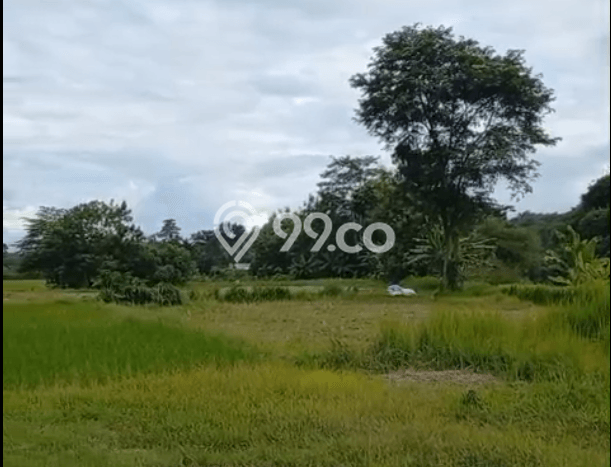 Lahan Dijual Lokasi Solear, Tangerang dengan Luas Tanah 920000m2 dan Status - Lahan Dijual Lokasi Solear, Tangerang dengan Luas Tanah 920000m2 dan Status -
